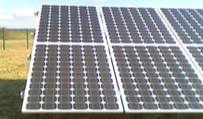IMG0411A.jpg